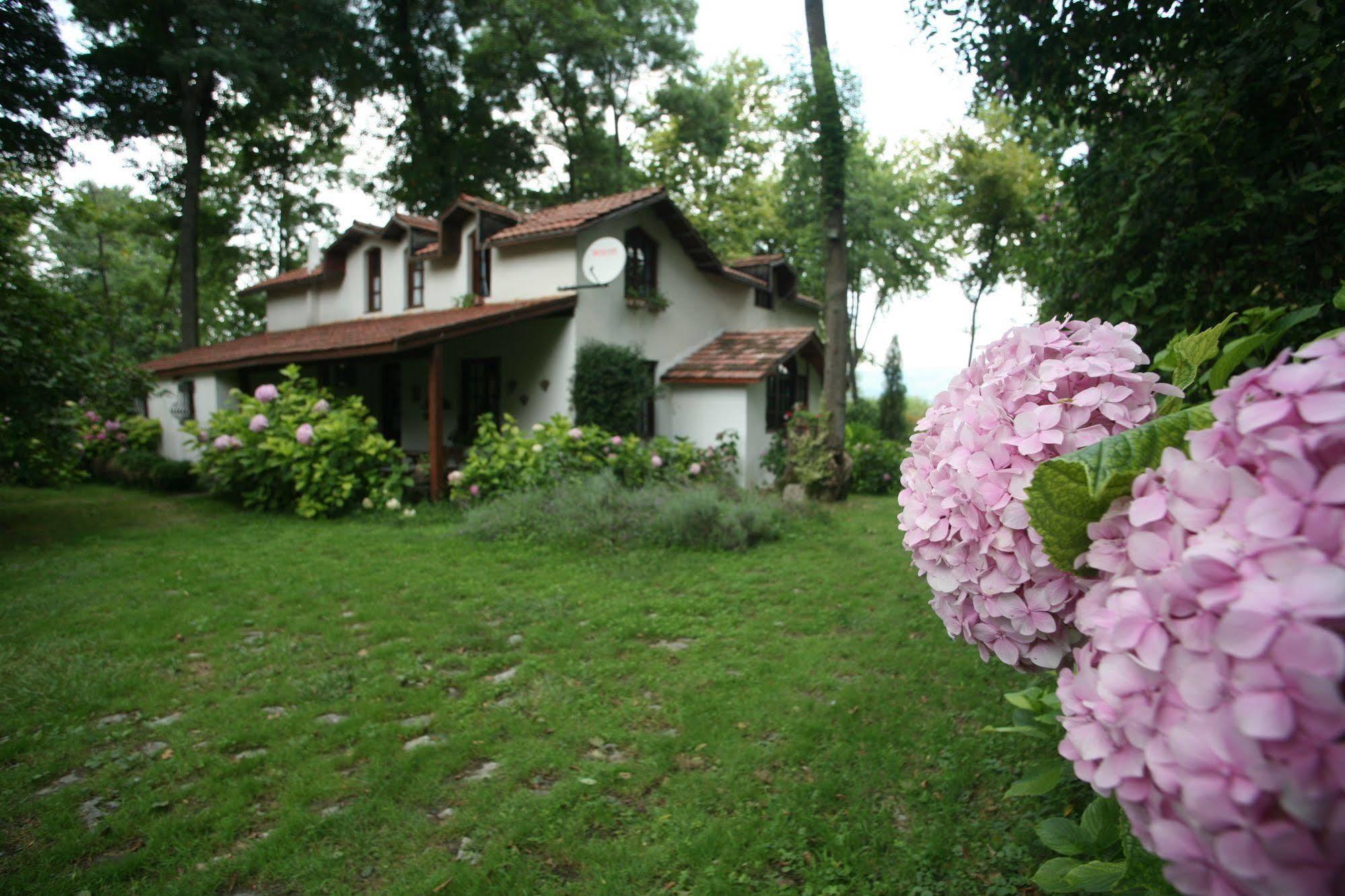 Beta Home Сапанча Экстерьер фото